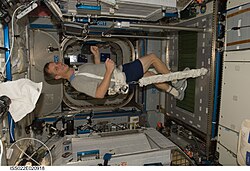 NASA astronaut T.J. Creamer, Expedition 22 flight engineer, equipped with a bungee harness, exercises on the Combined Operational Load Bearing External Resistance Treadmill (COLBERT) in the Harmony node of the International Space Station. T.J. Creamer ISS022-E-020918 (8 Jan. 2010).jpg