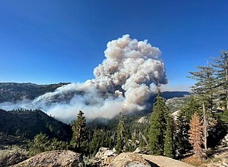 <span class="mw-page-title-main">Tamarack Fire</span> 2021 wildfire in California and Nevada