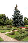 Taynitsky Jardin-7.jpg