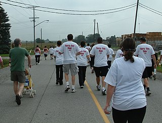 <span class="mw-page-title-main">Terry Fox Run</span> Annual charity event for cancer research