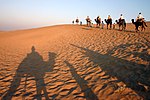 Kamelar i Thar-ørkenen