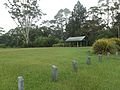 The Settlement picnic area at Springbrook, Queensland.jpg