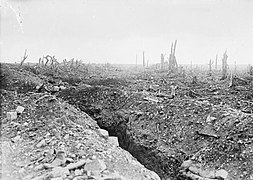 Trenches on the Western Front