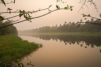 Chladné mlhavé ráno na břehu řeky Chalakudy.jpg