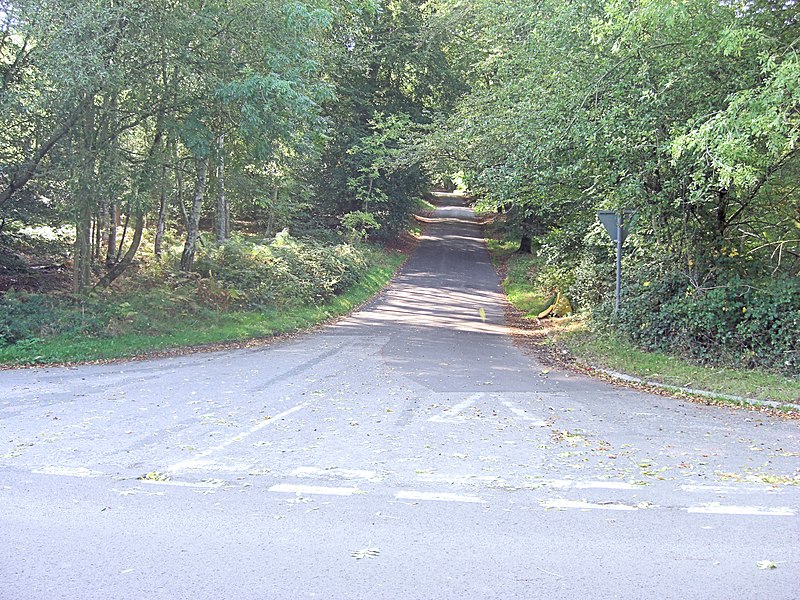 File:The lane to Frilsham - geograph.org.uk - 2622021.jpg