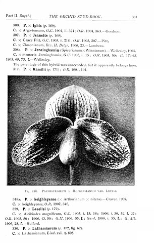 File The Orchid Stud Book An Enumeration Of Hybrid Orchids Of Artificial Origin With Their Parents Raisers Date Of First Flowering References To Descriptions And Figures And Synonymy With An Jpg Wikimedia Commons