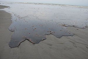 Deepwater Horizon Oil Spill