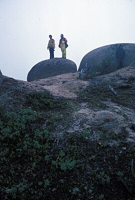 Colonels Mountain NB Canada2.jpg