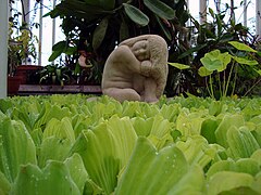 Escultura en el estanque.