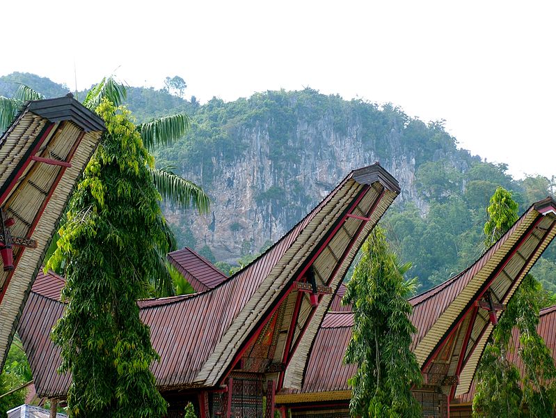 File:Traditional houses in Sulawesi, Indonesia; May 2009.jpg