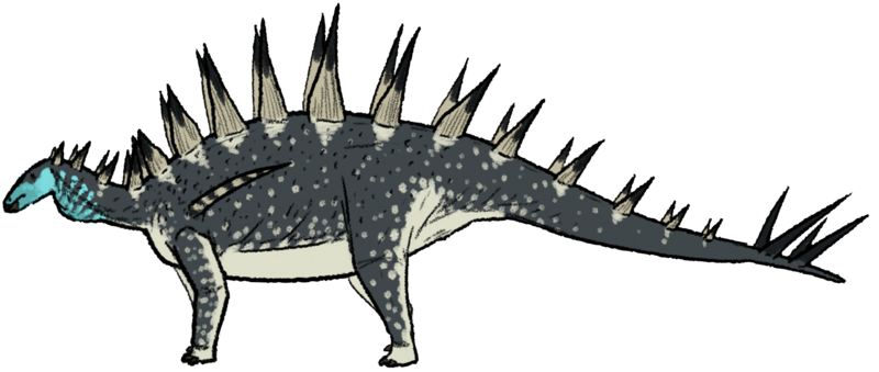 Tuojiangosaurus multispinus