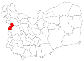 Lage in Tulcea County