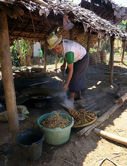 Cleaning turmeric rhizomes with boiling water in Myanmar.