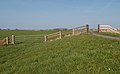 * Nomination between Blauwhuis and Parrega-NL, wooden fence in the polder --Michielverbeek 06:48, 10 June 2018 (UTC) * Withdrawn Both sides are unsharp, not only here (lens issue) but here more visible than in other images --Poco a poco 07:07, 10 June 2018 (UTC)  Comment I hoped the edges were sharp enough for Q1, but unfortunately not --Michielverbeek 19:14, 10 June 2018 (UTC)