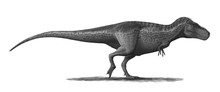Tyrannosaurus, one of the many extinct dinosaur genera. The cause of the Cretaceous-Paleogene extinction event is a subject of much debate amongst researchers. Tyrannosaurus-rex-Profile-steveoc86.png