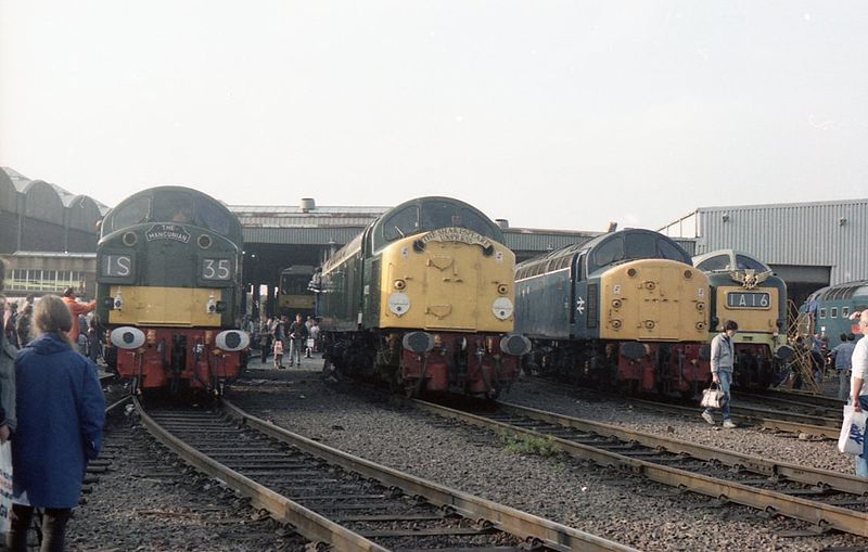 File:Tyseley 40135, 40122 & 40013 (9893402333).jpg