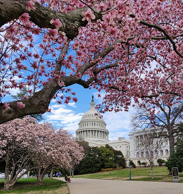 United States Capitol (2020)