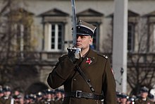 Polish Army major presenting his sabre in salute. Uroczystosci 11 listopada 2012 4.jpg