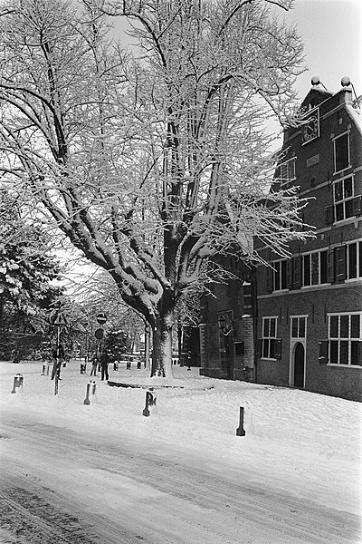 File:Veel sneeuw dit weekend in Nederland, beeld in de buurt van Leidschendam, Bestanddeelnr 931-1921.jpg