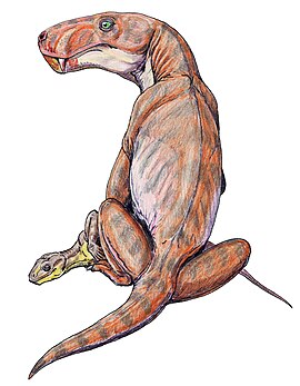 <i>Viatkogorgon</i> genus of mammals (fossil)
