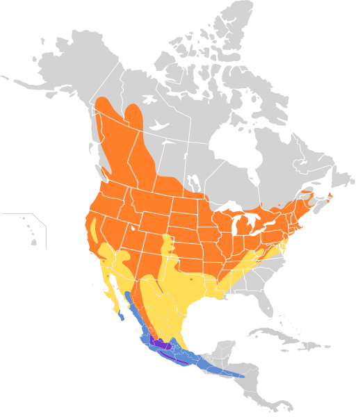 File:Vireo gilvus map.svg