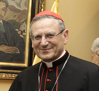 <span class="mw-page-title-main">Angelo Amato</span> Italian cardinal of the Catholic Church (born 1938)