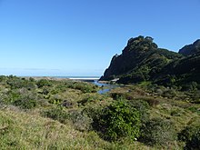 Many early settlements in West Auckland were along the west coast beaches (pictured: Karekare) Waitakere Ranges, Karekare Stream (3).JPG