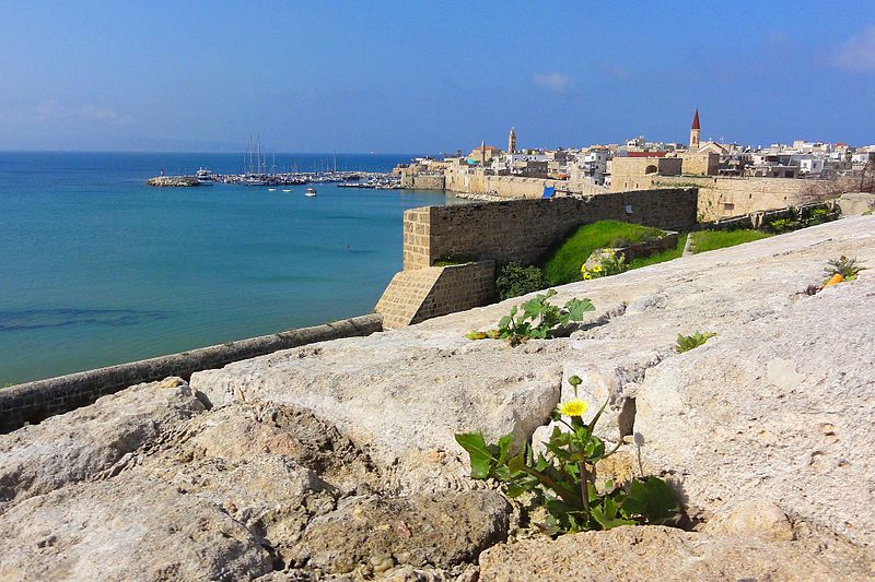 File:Wall and port - panoramio.jpg