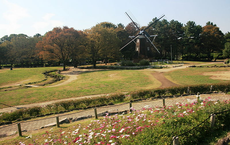 File:Windmill and Cosmos garden at Meijo Park.jpg