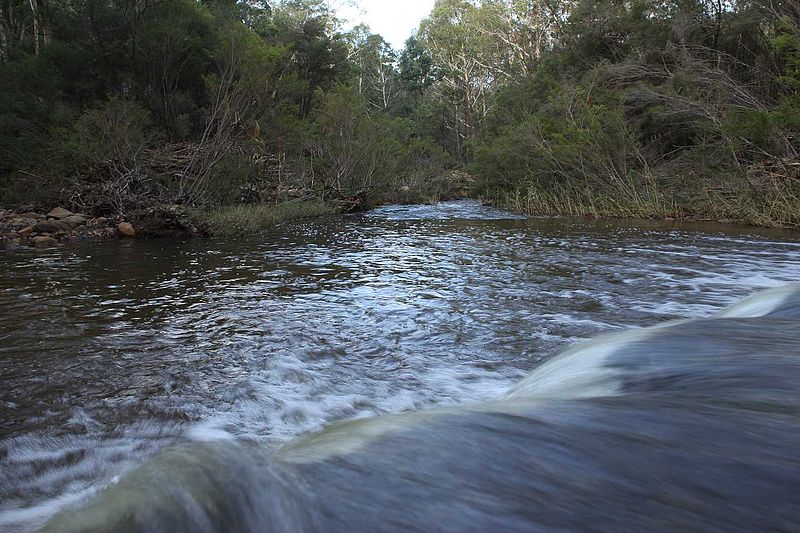 File:Wolgan River 2013.jpg