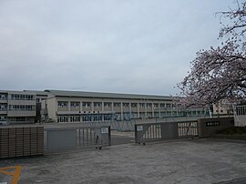 柳津小学校