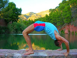 Yogui Tanumânasî en Chakrasana.jpg