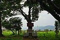 2022年7月20日 (水) 13:43時点における版のサムネイル