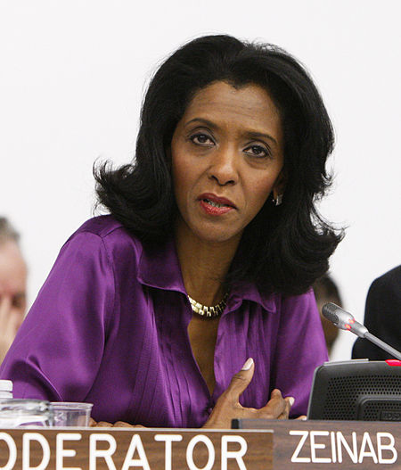 Zeinab Badawi crop UNISDR.jpg