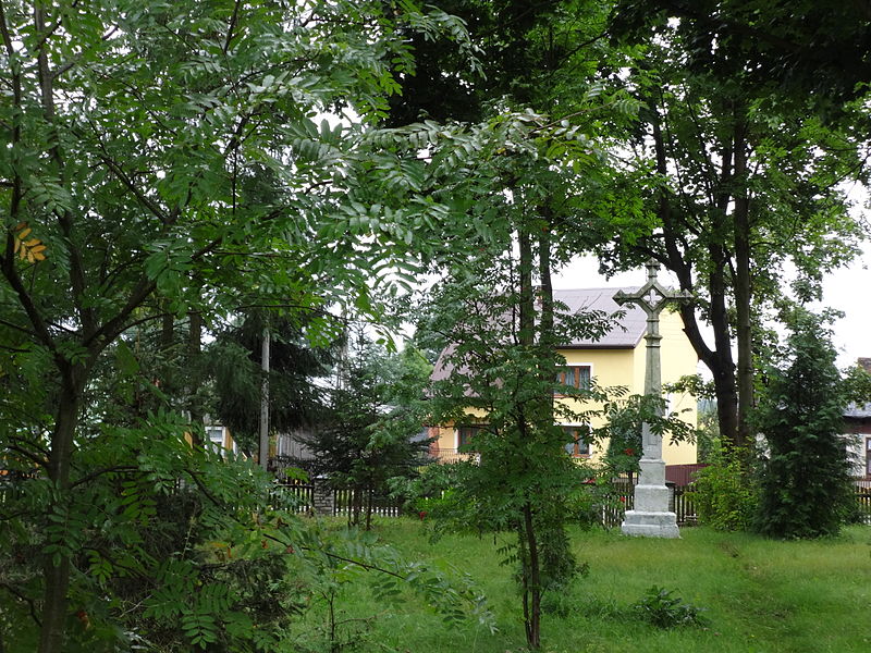 File:Żytno cmentarz katolicki, poł. XIX nr 614055 (18).JPG