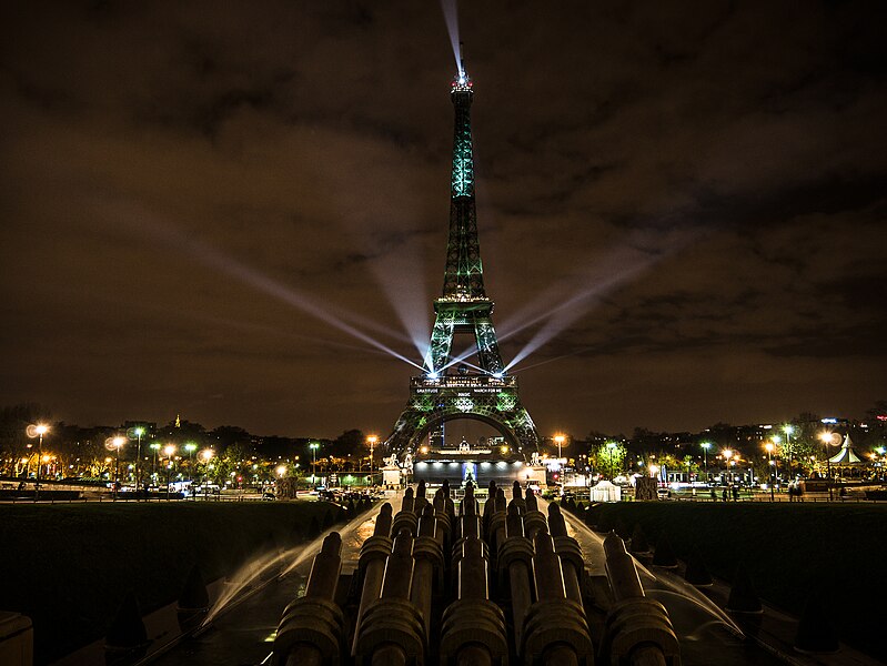 File:-1heart1tree - Tour Eiffel à -Paris - Eiffel Tower - COP 21 (23406648485).jpg