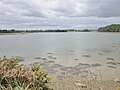 La vasière de Bisconte à marée haute, vue du sud depuis le sentier piétonnier entre le pont de Kerrichard et Boèntèn.