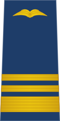 File:11-Namibia Air Force-WGCDR.svg