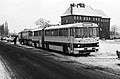 19700131011NR Dresden Verkehrsbetriebe Ikarus-Gelenkbusse.jpg