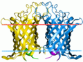 Thumbnail for Outer membrane phospholipase A1