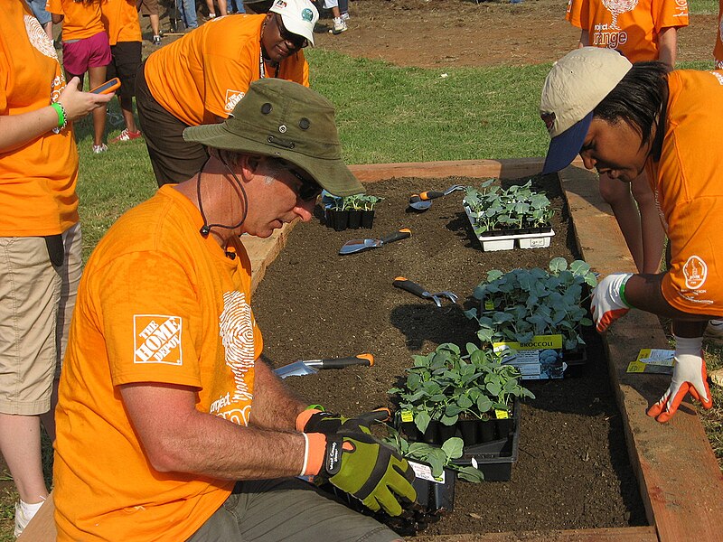 File:2008 Oliver community garden BaltimoreMD PhotoBy SusanReimer BaltimoreSun 3926429108.jpg