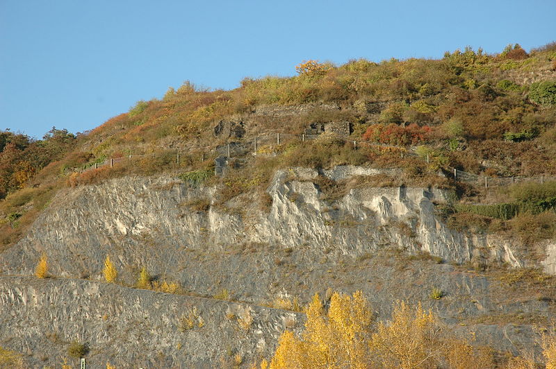 File:2009-10-25 1 (31) Andernach.JPG