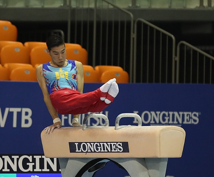 File:2019-06-27 1st FIG Artistic Gymnastics JWCH Men's All-around competition Subdivision 3 Pommel horse (Martin Rulsch) 139.jpg