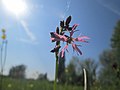 Vorschaubild der Version vom 15:07, 5. Mai 2019