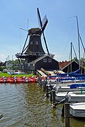 De molen met boomstammen