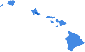 2020 U.S. House elections in Hawaii.svg