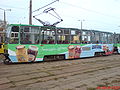green tram 105Na in Bydgoszcz on Łęgnowo