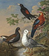 Painting by Philip Reinagle showing a Cuban macaw among other birds A Moorhen A Gull A Scarlet Macaw and Red-Rumped A Cacique By A Stream in a Landscape by Philip Reinagle.jpg