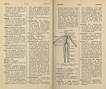 A medical dictionary for nurses (1914).jpg
