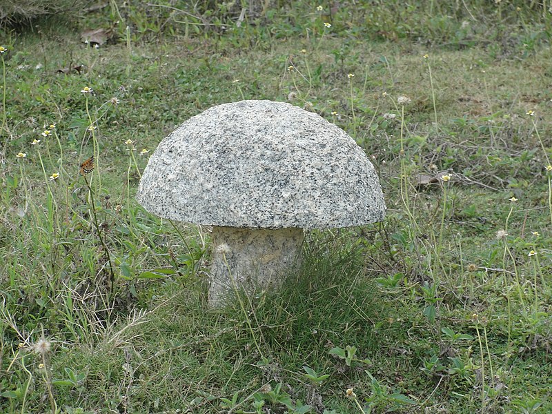 File:A scene of stone mushroom in Hokenakal park.JPG